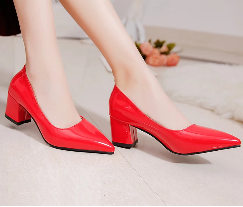 Pointed toe dress shoes for women

